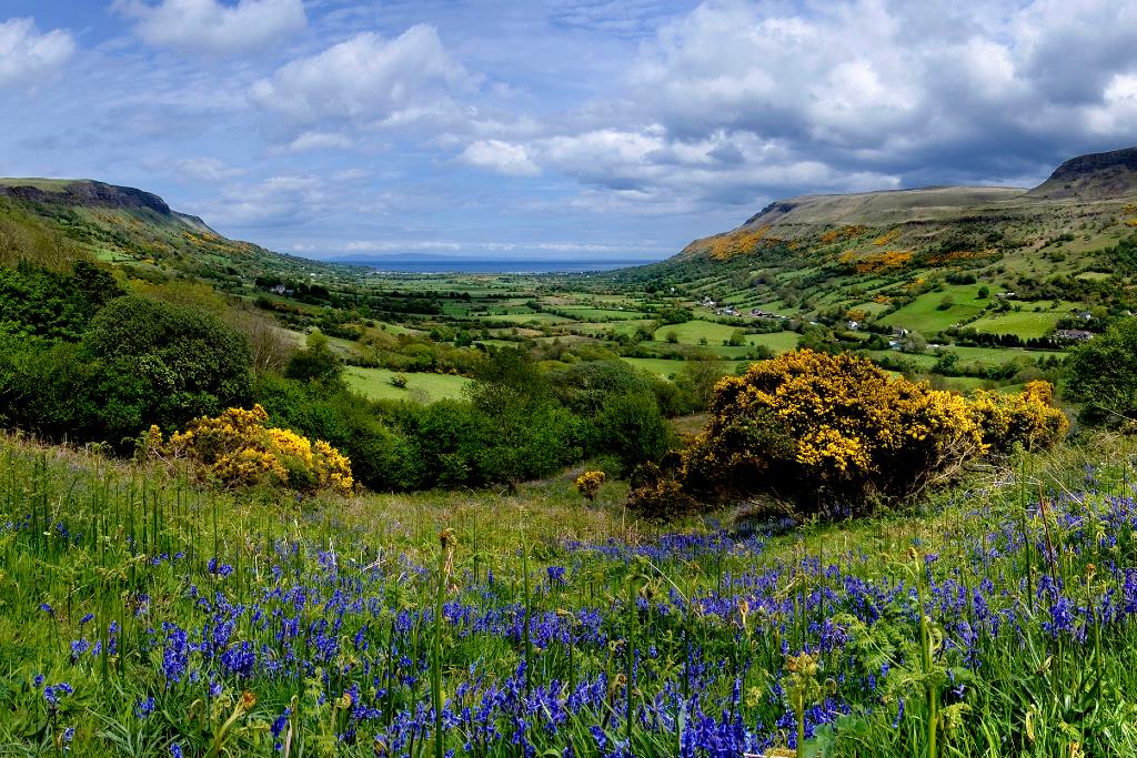Wildflowers and gorse frame the lush Glenariff Valley, with green fields stretching toward the distant sea.