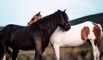 romanticireland-kerry