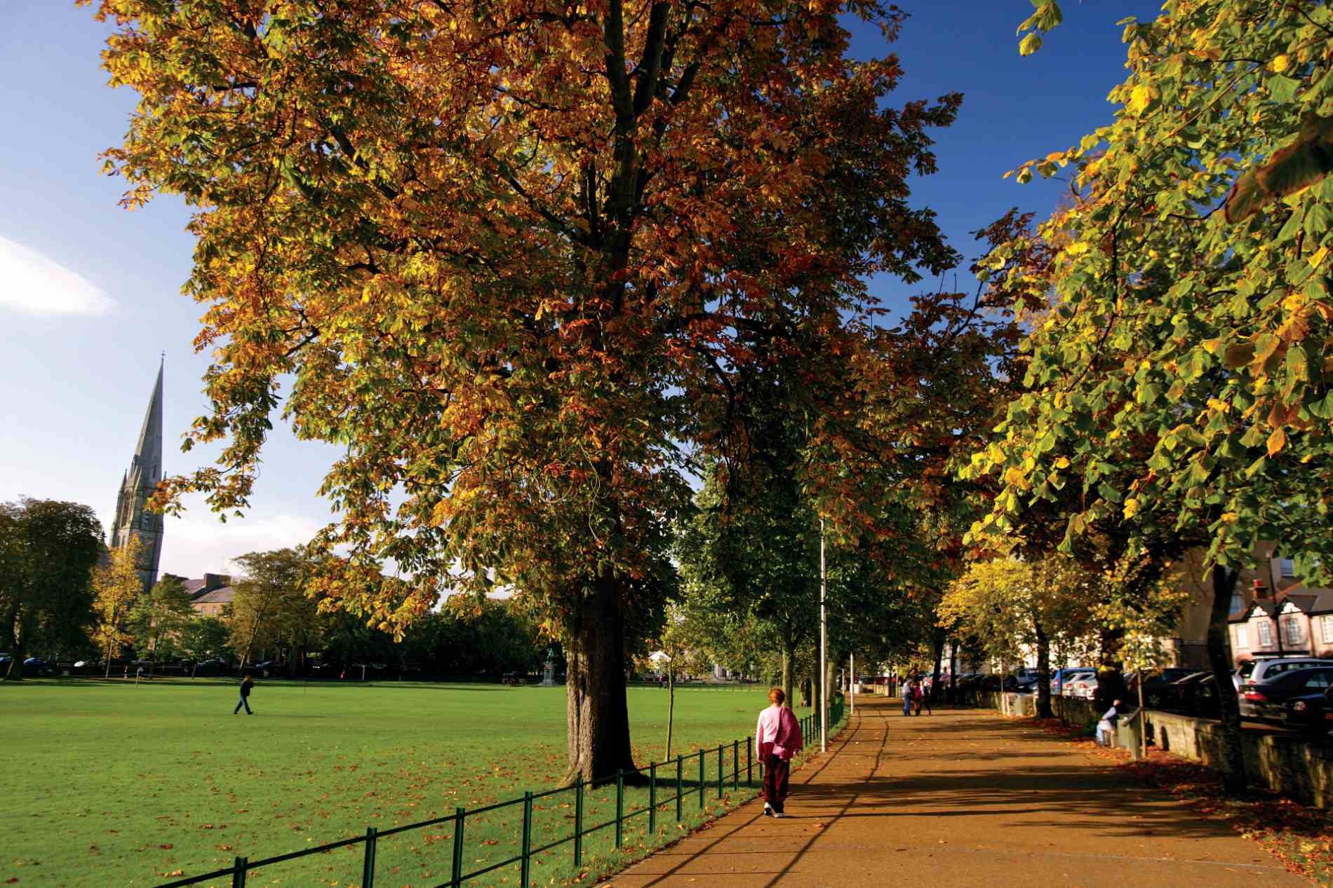 Tree-lined walkway in Armagh with autumn leaves, pedestrians, and the spire of St Patrick’s Church in the background.