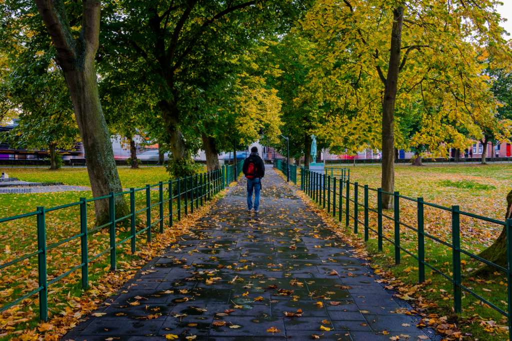 Person walking along a leaf-covered path between trees in the Mall, Armagh, during early autumn.