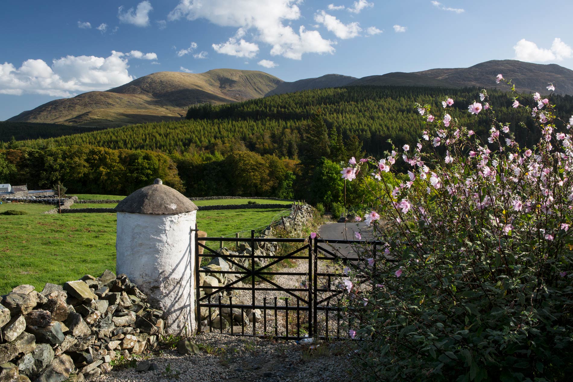 Iron gate and stone wall leading into fields at the foot of the Mourne Mountains, County Down.