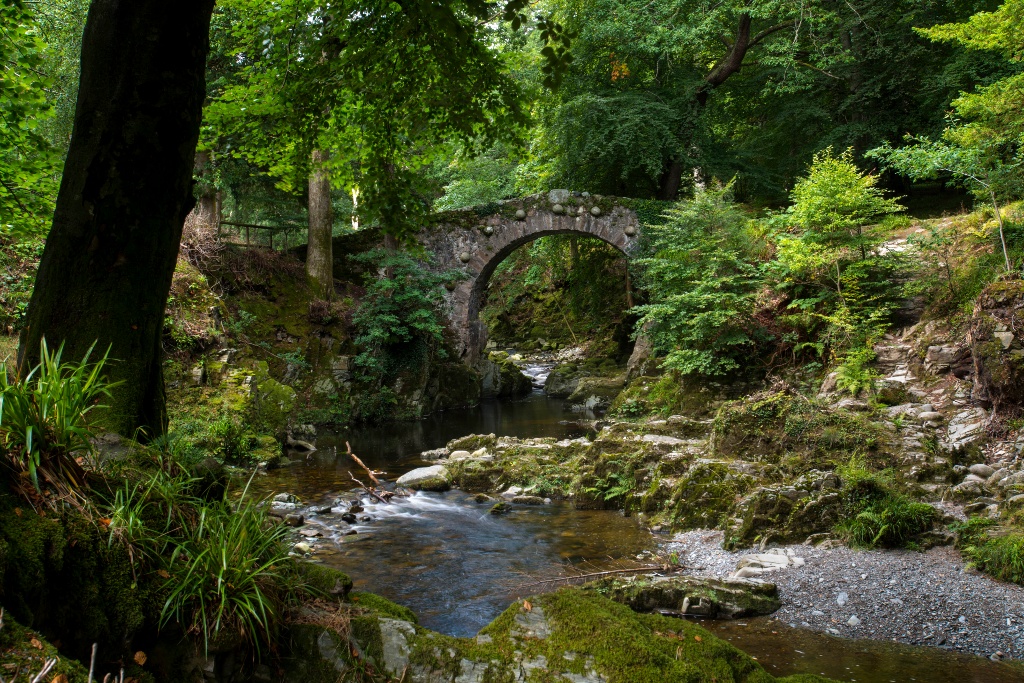 Tollymore Forest Park, County Down