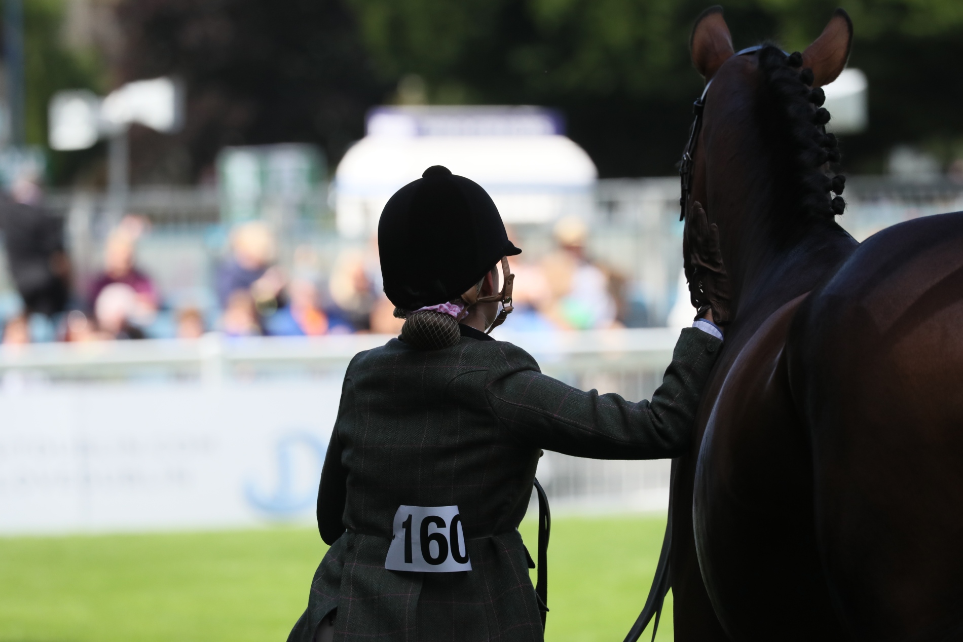 Dublin Horse Show, County Dublin
