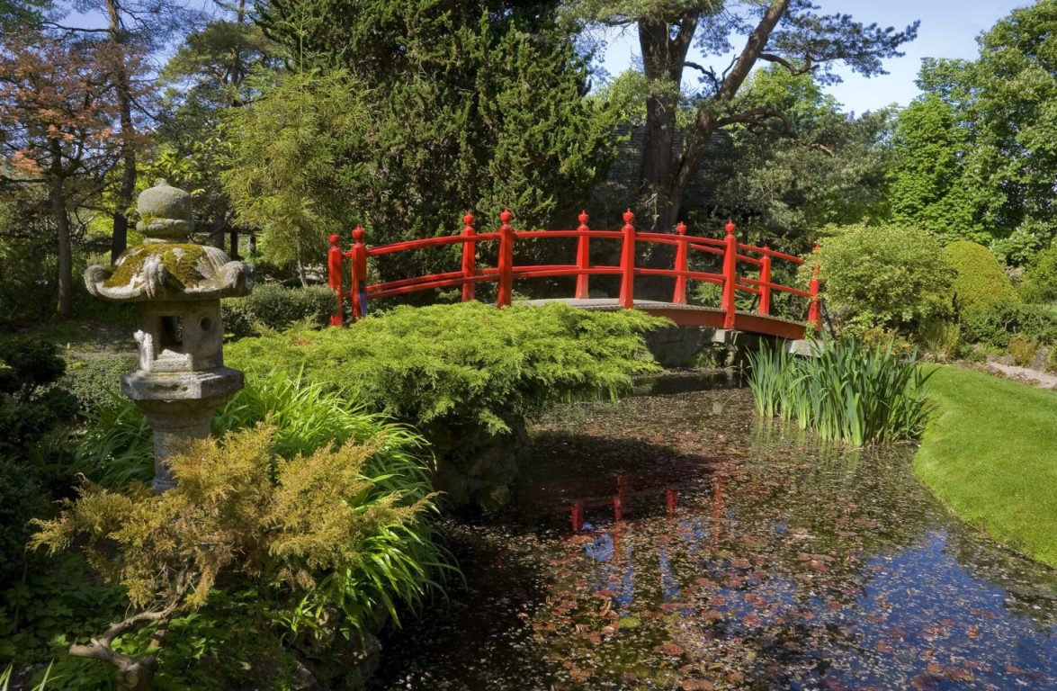 Irish National Stud and Japanese Gardens, County Kildare