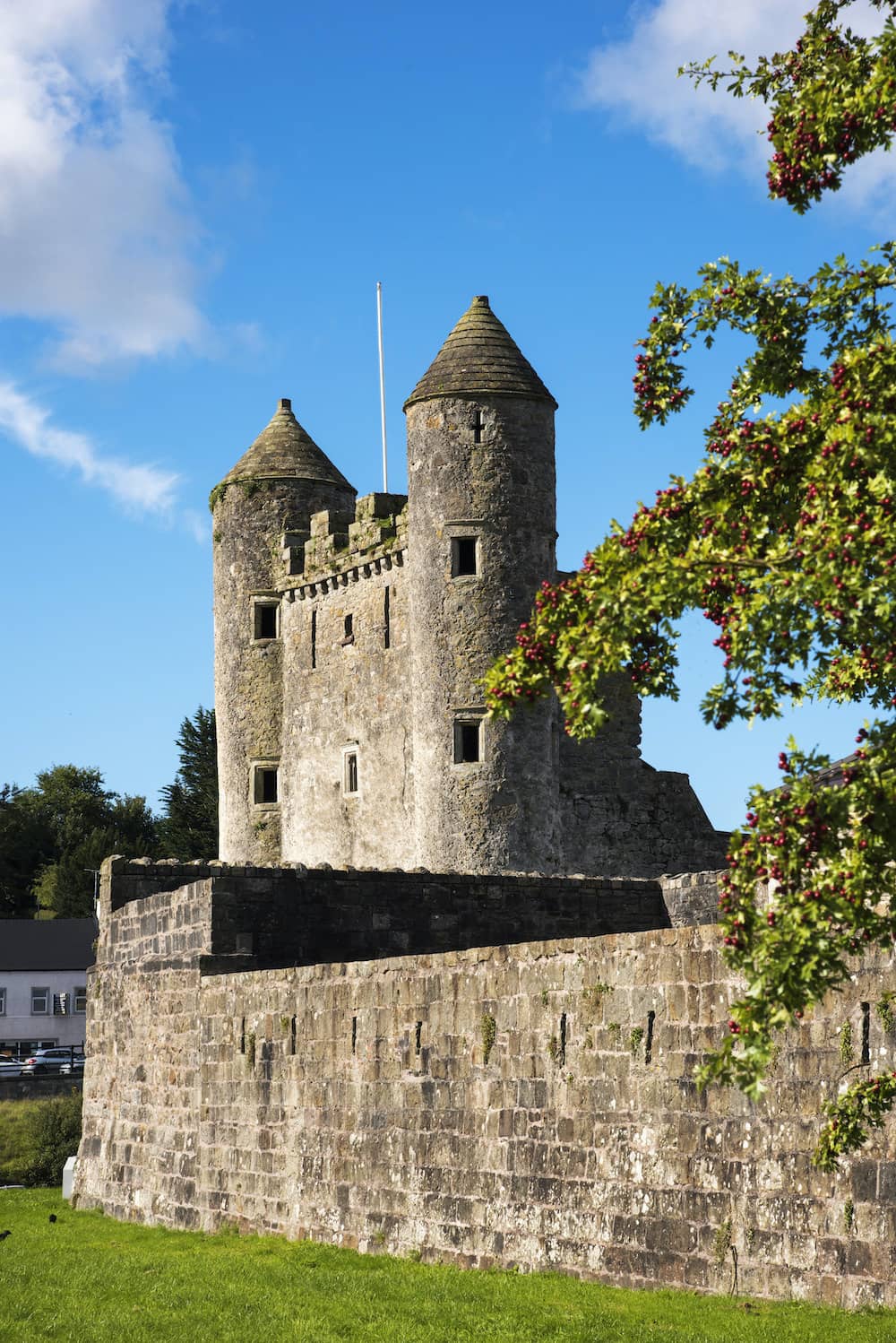 gallery-castles-enniskillen-castle-fermanagh-turrets_A