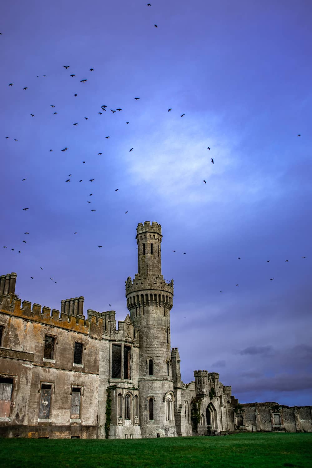gallery-castles-ducketts-grove-carlow-birds-shutterstock