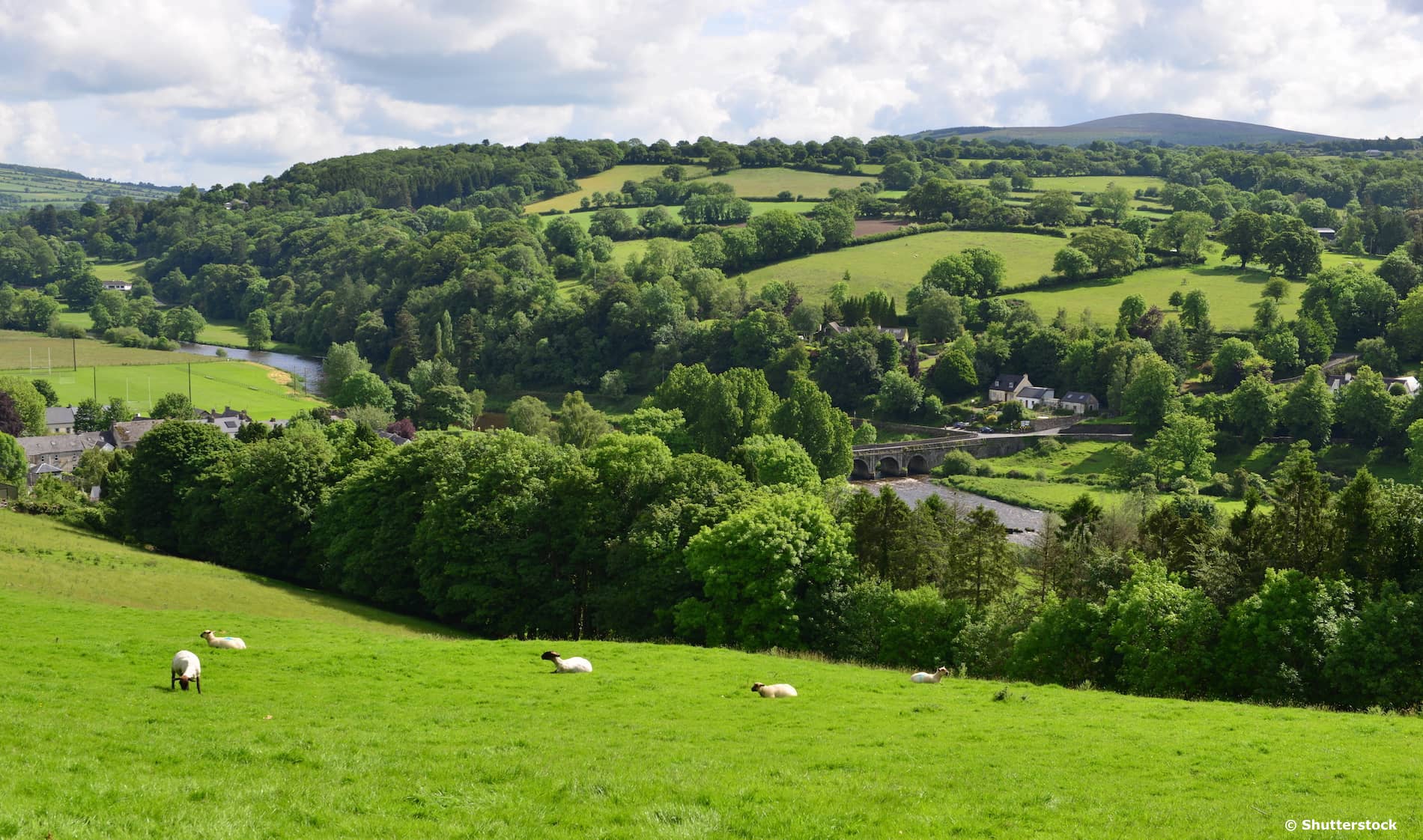 Instioge, County Kilkenny ©Shutterstock