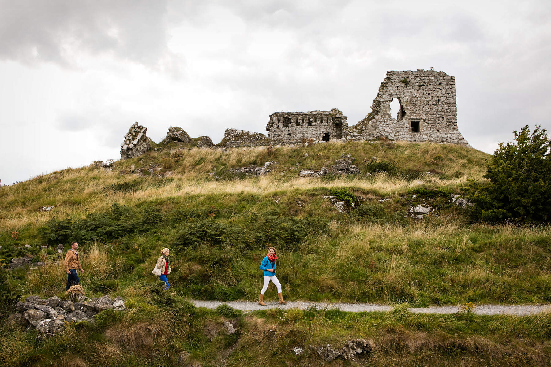 The Rock of Dunamase