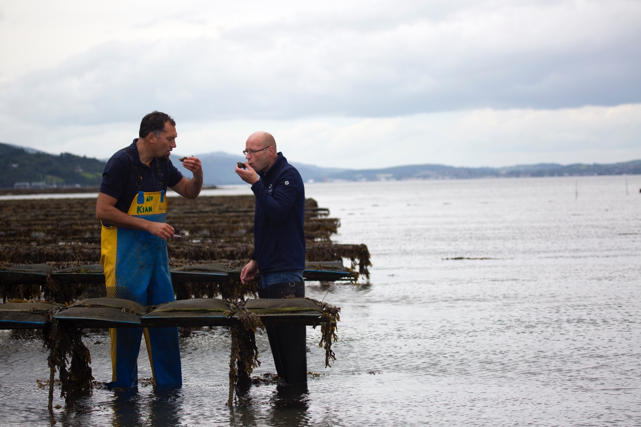 Carlingford Oyster Company, County Louth