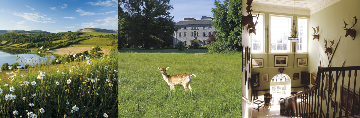 wildestplaces-10-sligo