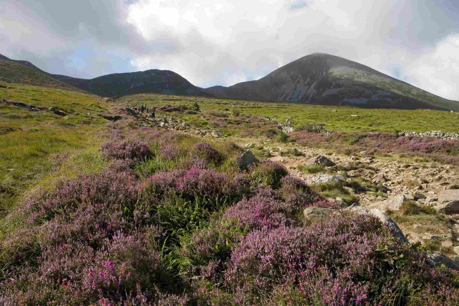 Croagh Patrick BG