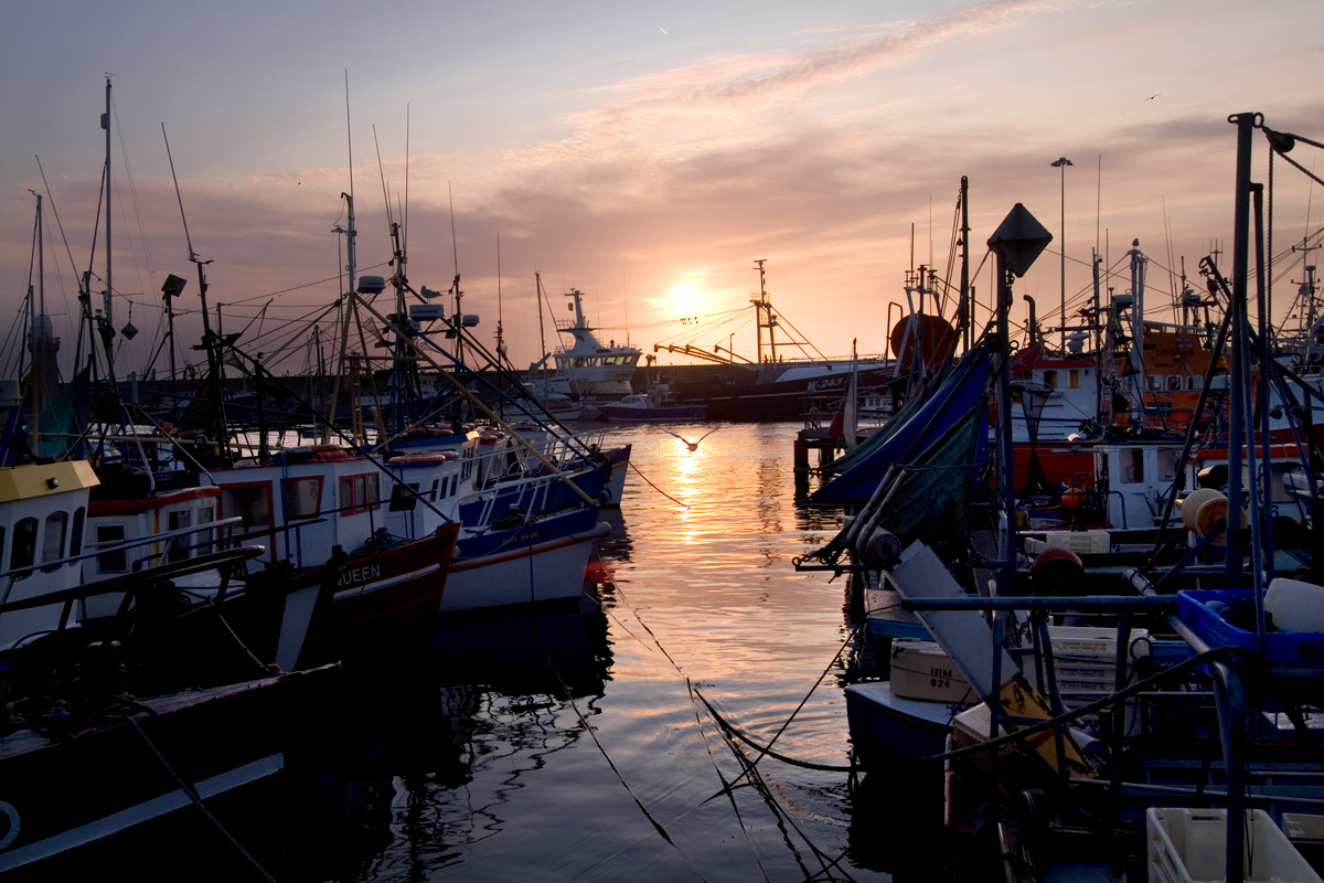 Harbour-in-Dunmore-East-County-Waterford