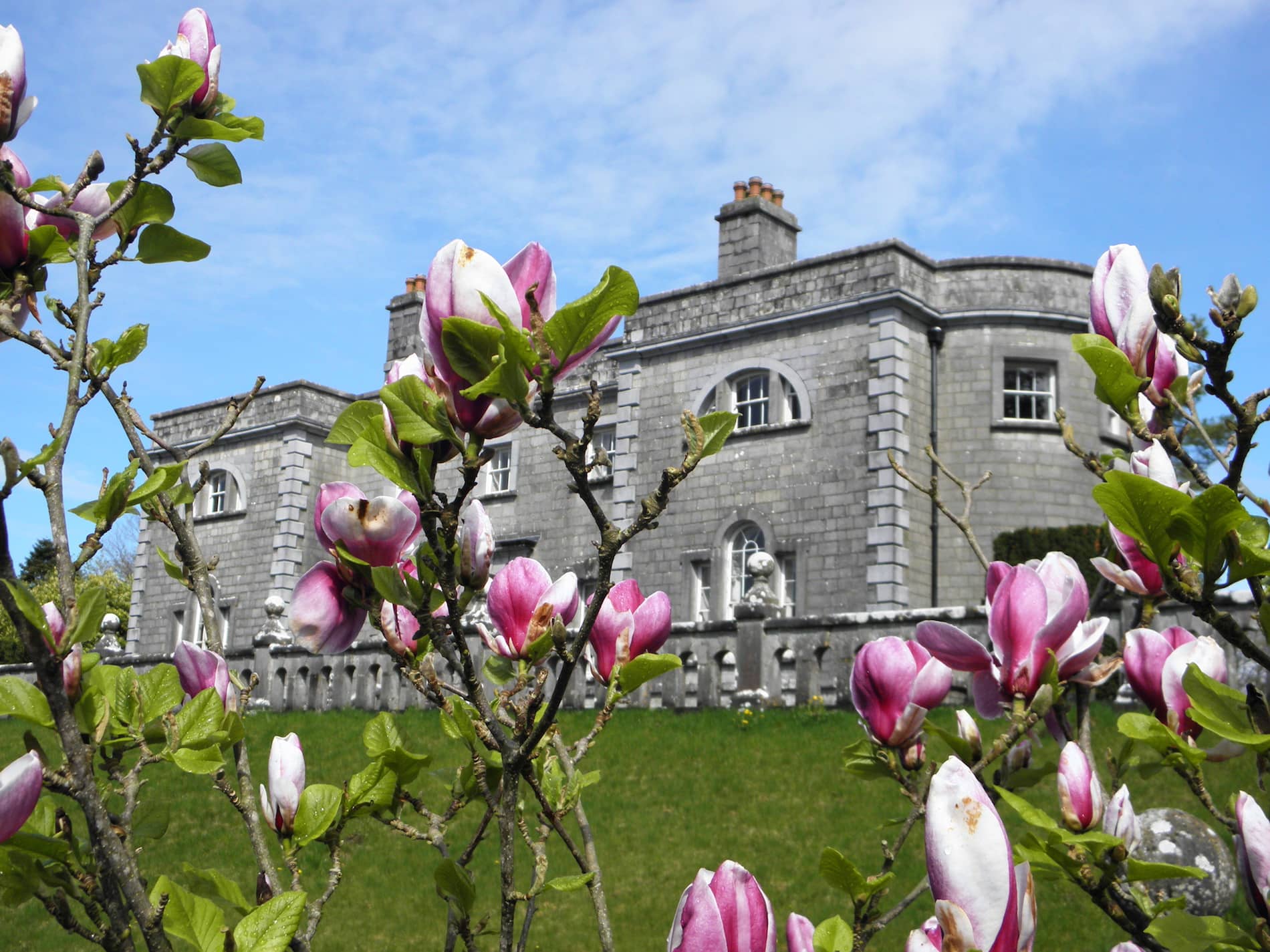 belvedere-house-pink-flowers