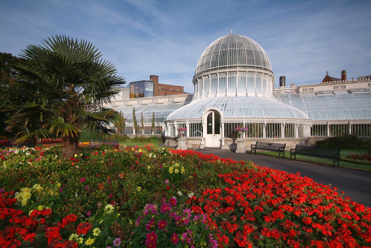 Flowers in bloom outside the Palm House glasshouse at Belfast Botanic Gardens.