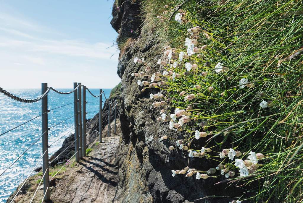 Gobbins Cliff Path, County Antrim