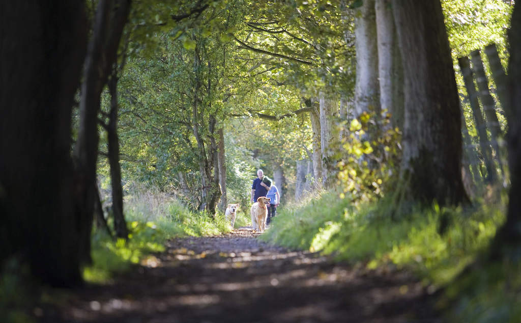 Carnfunnock Country Park, County Antrim