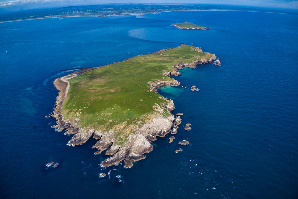 Saltee Islands, County Wexford