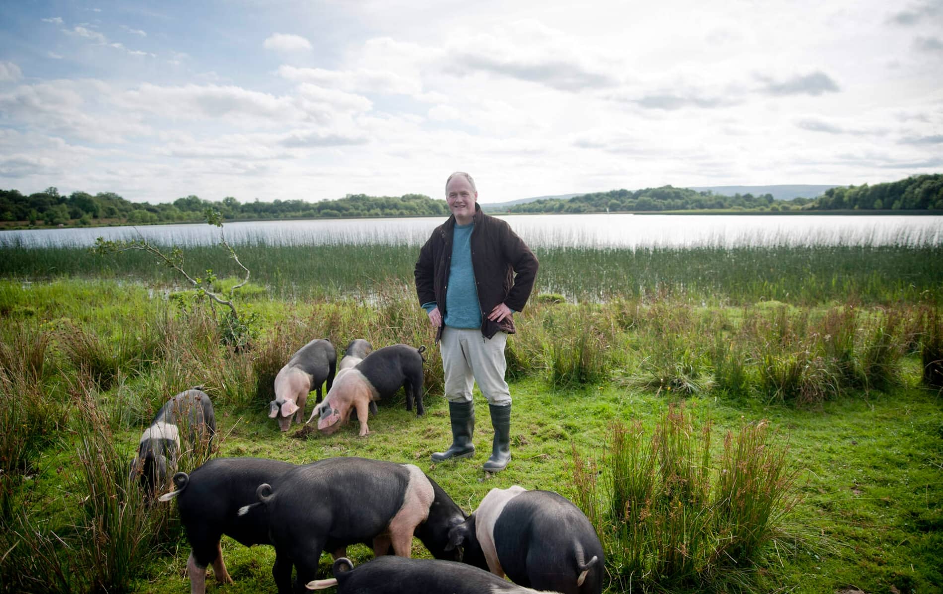 Farmer standing with Fermanagh Black pigs by the lakeside in County Fermanagh, Northern Ireland.