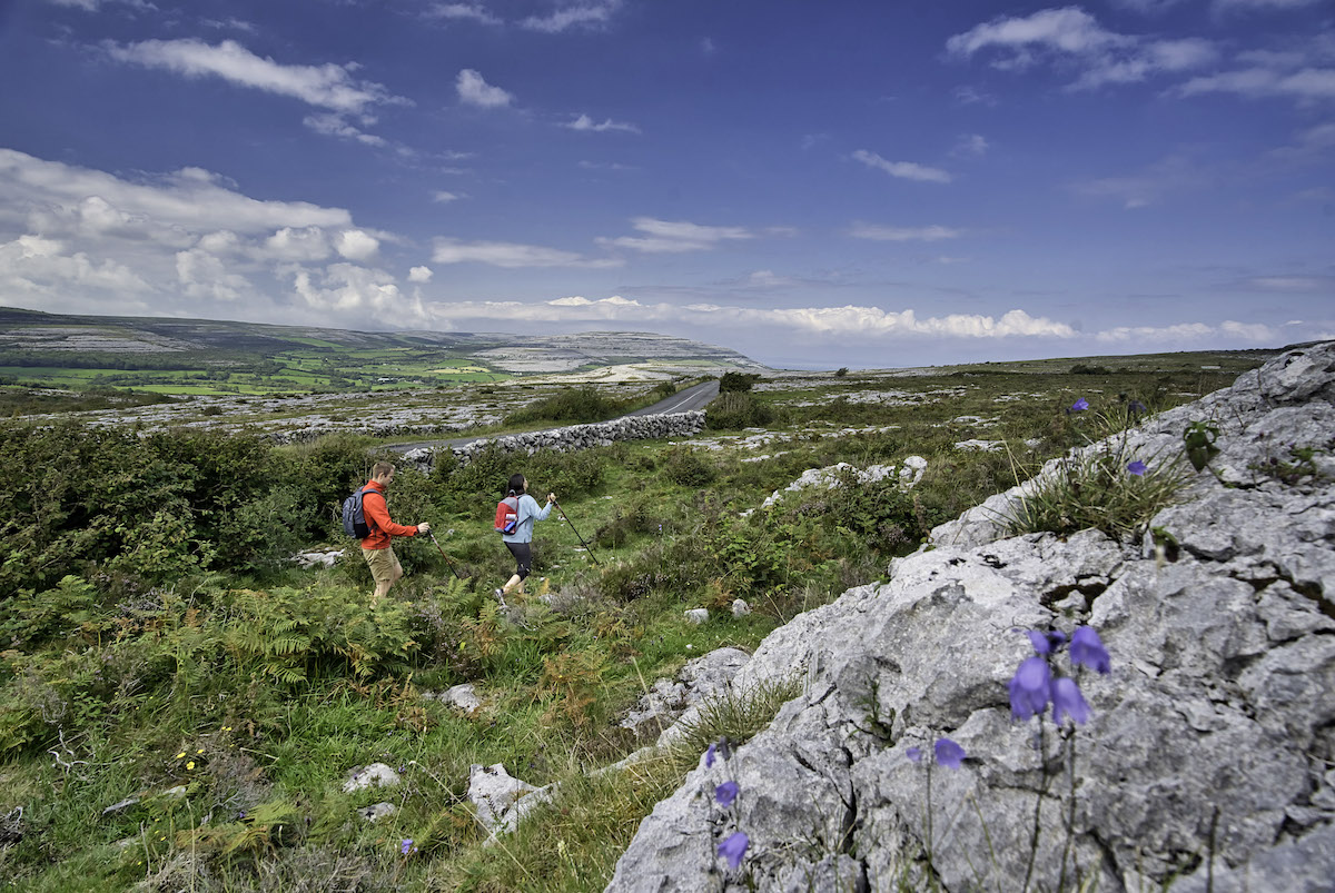 Hikers follow a trail through wildflowers and limestone in the Burren, County Clare.