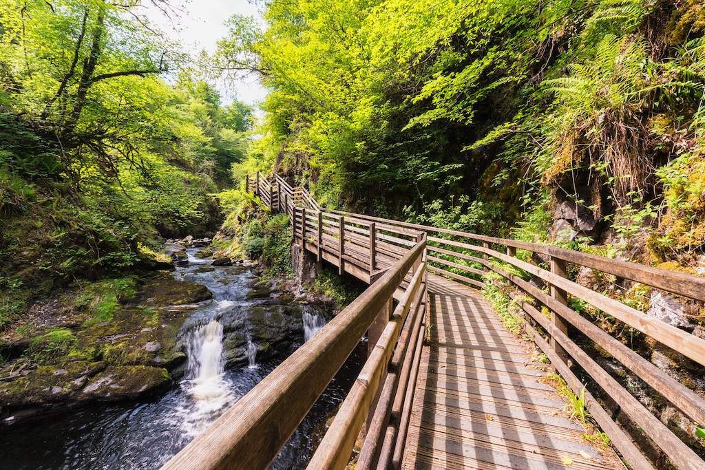 caravantrip-BGhero1-glenariffforestpark-antrim