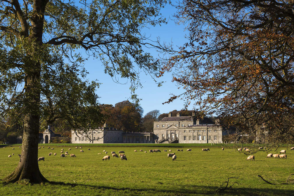 Sheep grazing on the green grounds of Russborough House in County Wicklow on a bright, clear day.