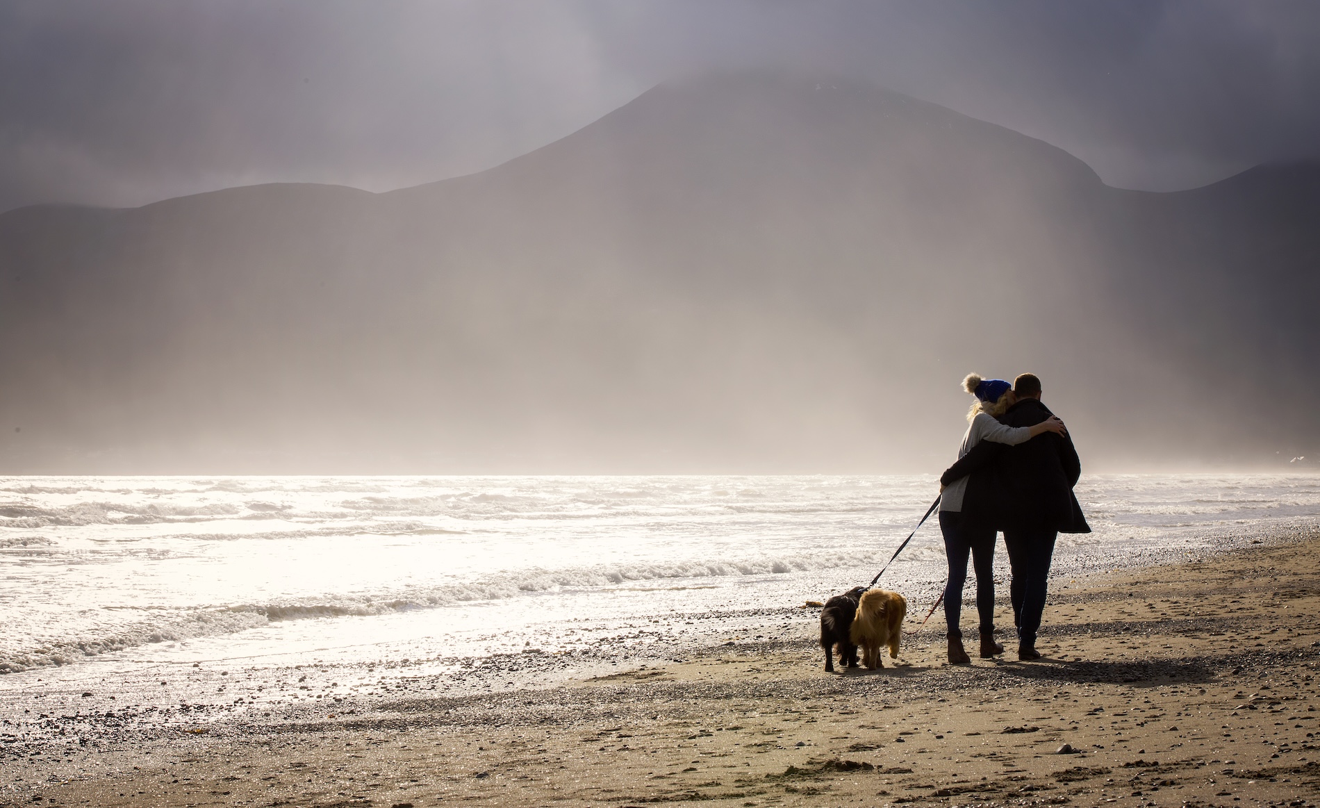 Couple walking dogs along Murlough Beach beneath the Mourne Mountains, County Down.