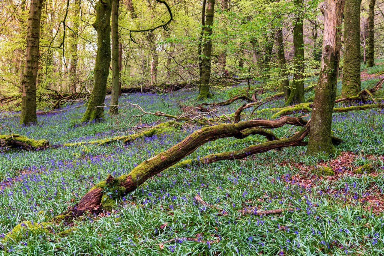 countyarmagh-slievegullion