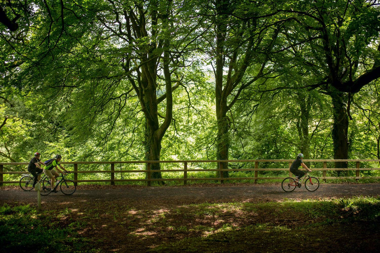 limerick-city-limerick-greenway