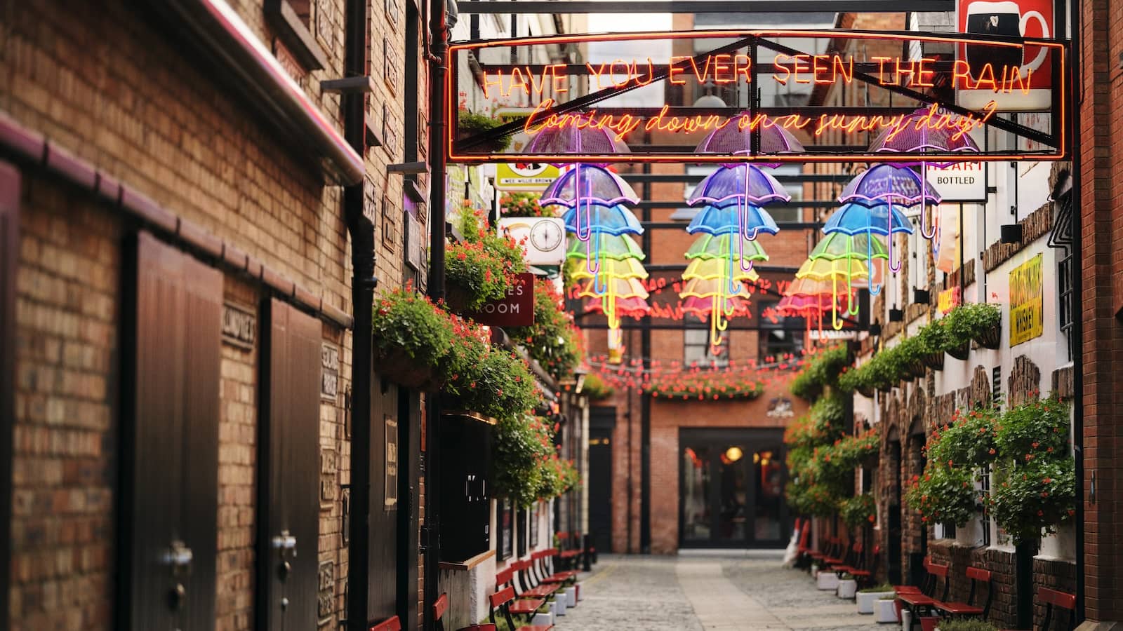 Commercial Court in Belfast, lined with hanging baskets and colourful umbrella lights.