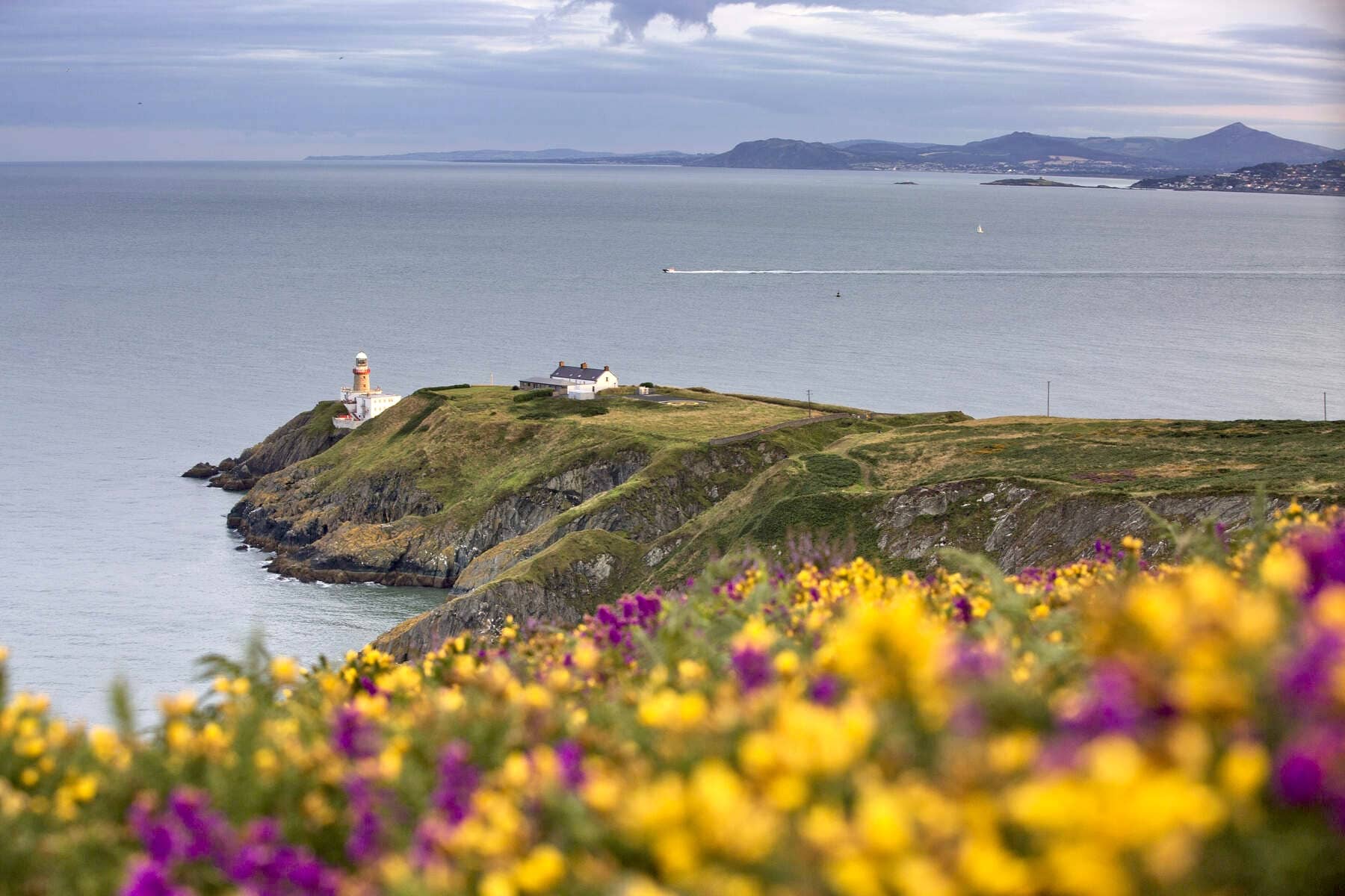Lighthouse on a coastal headland above cliffs, with wildflowers in the foreground and sea views.