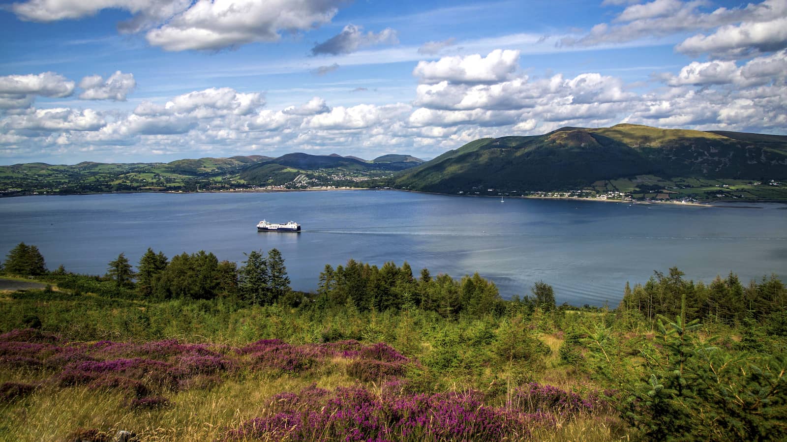 View over Carlingford Lough with a ferry crossing calm water, framed by heather-covered hills and distant mountains.