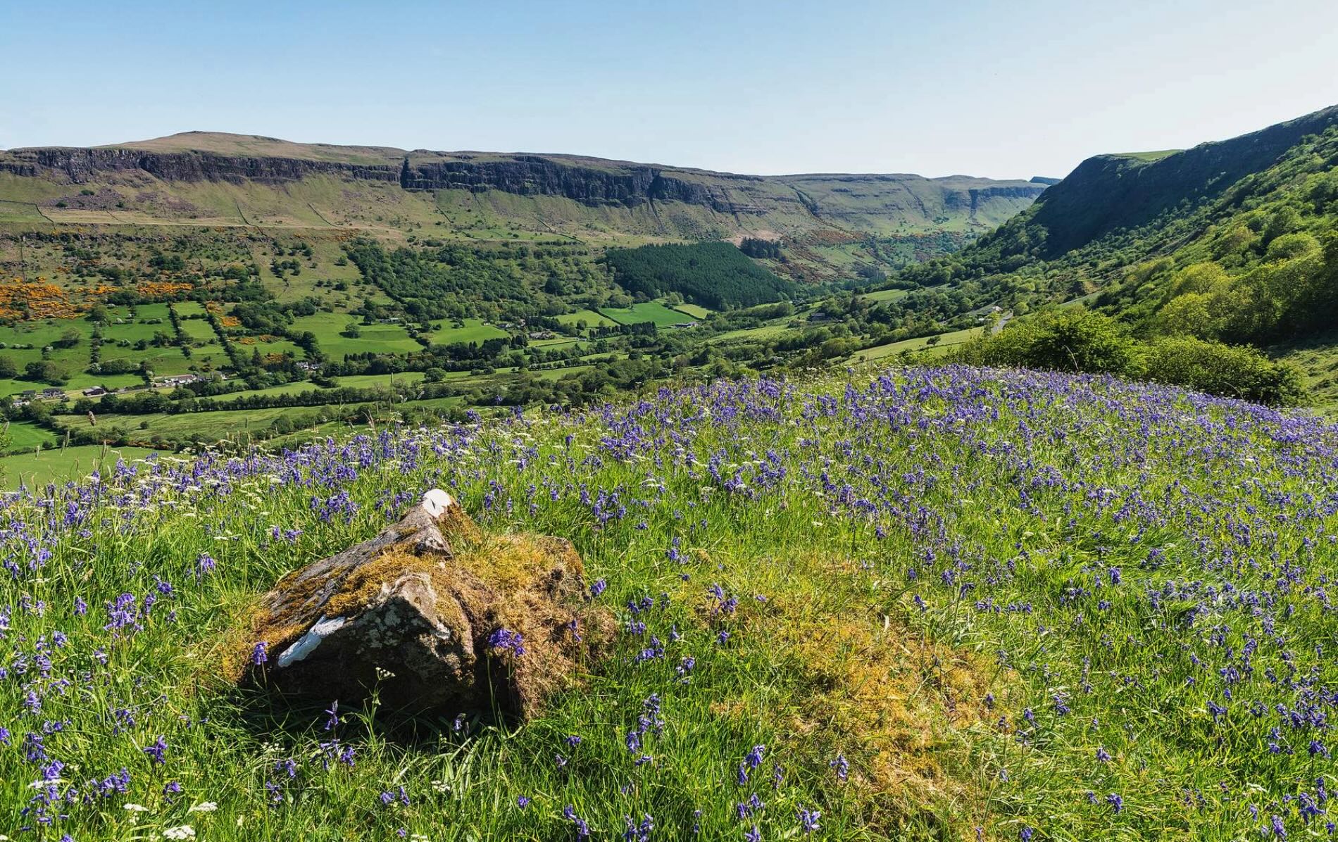 glens-of-antrim-glenariff-glen-county-antrim-v1