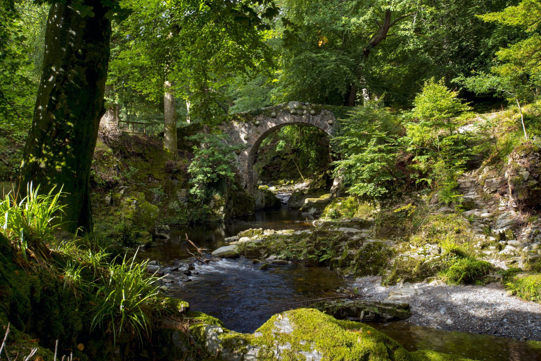 Tollymore Forest Park - Header