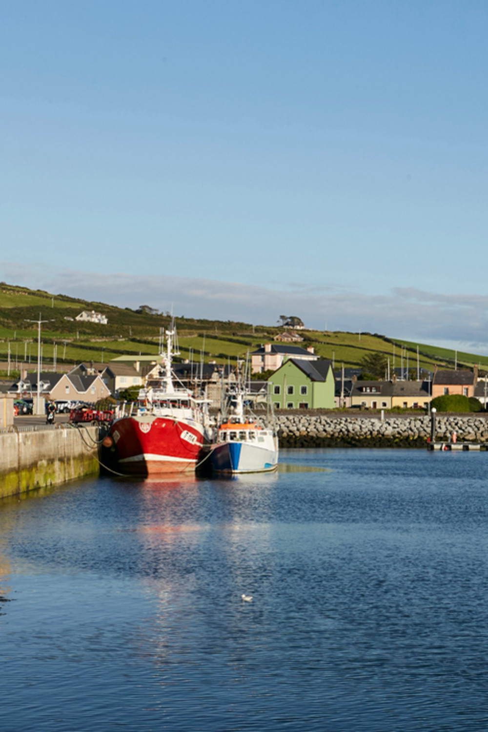 Fishing boats moored at Dingle Harbour, with green hills and houses lining the scenic waterfront.