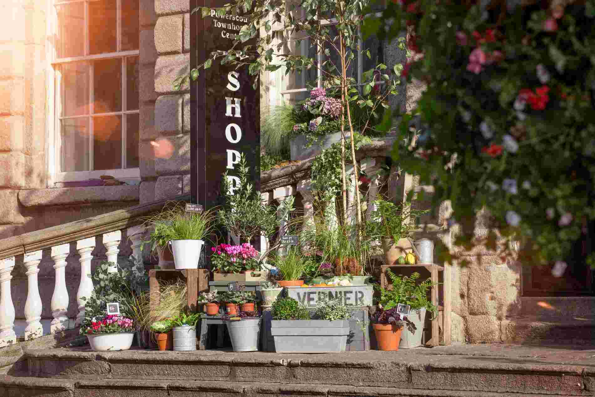 Flower pots and herbs outside the entrance to Dublin’s Powerscourt Townhouse Centre, combining retail and greenery.