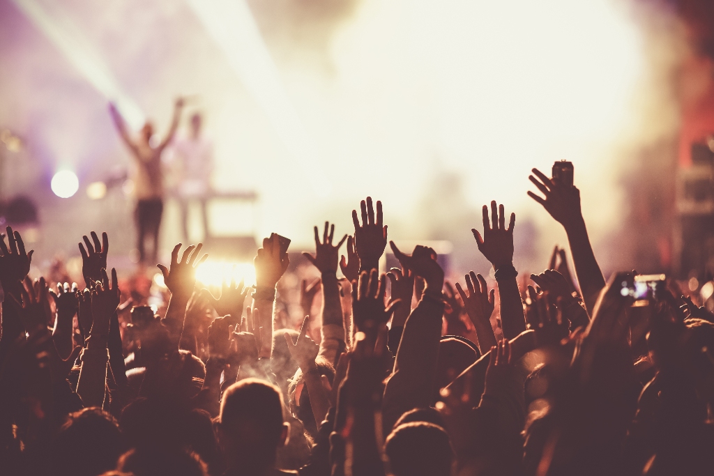 Crowd at a music festival raising hands during a live concert.