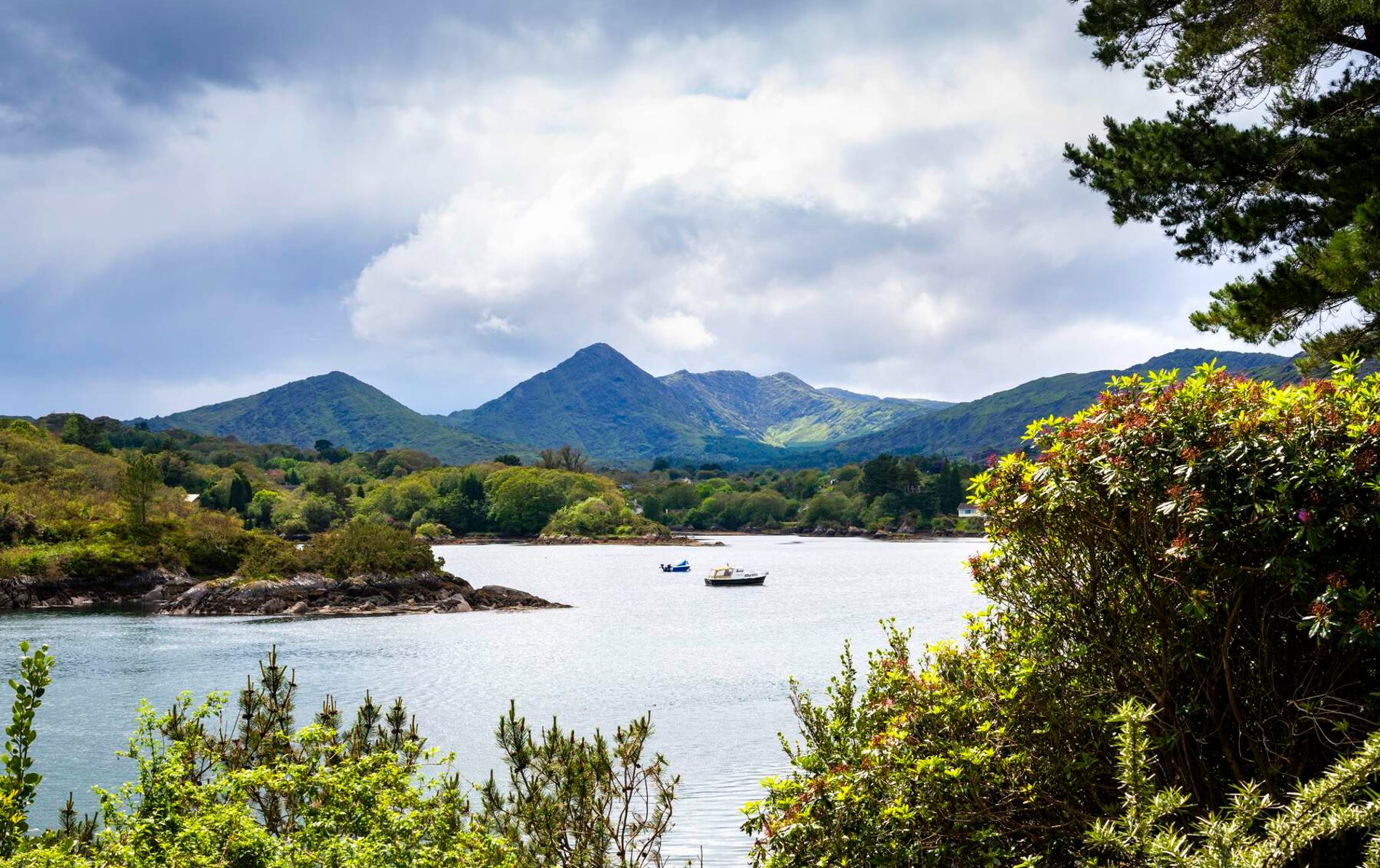 View across Glengarriff Nature Reserve in West Cork showing mountains, boats and lush forest along the water.