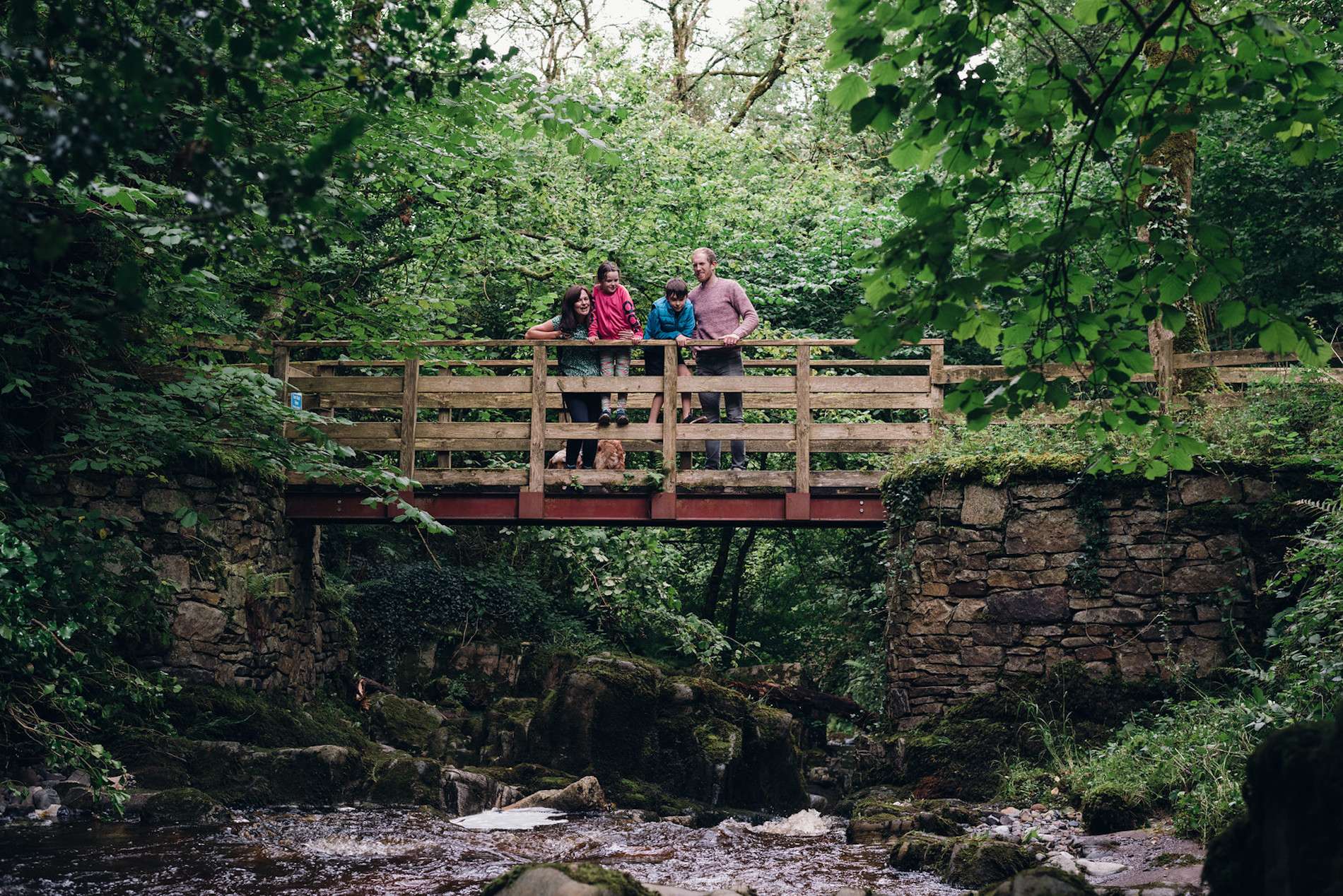 Family standing on a wooden bridge in Ireland surrounded by lush green forest during a walk.