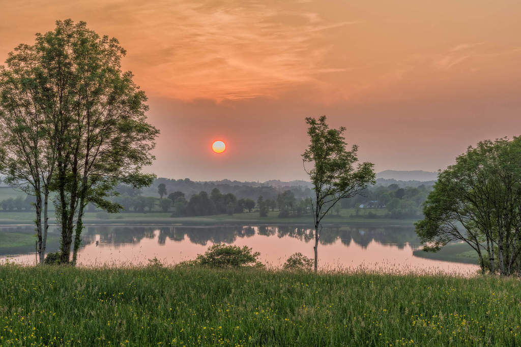 Sunset over still water with trees reflected in the lake and wildflowers in the foreground.