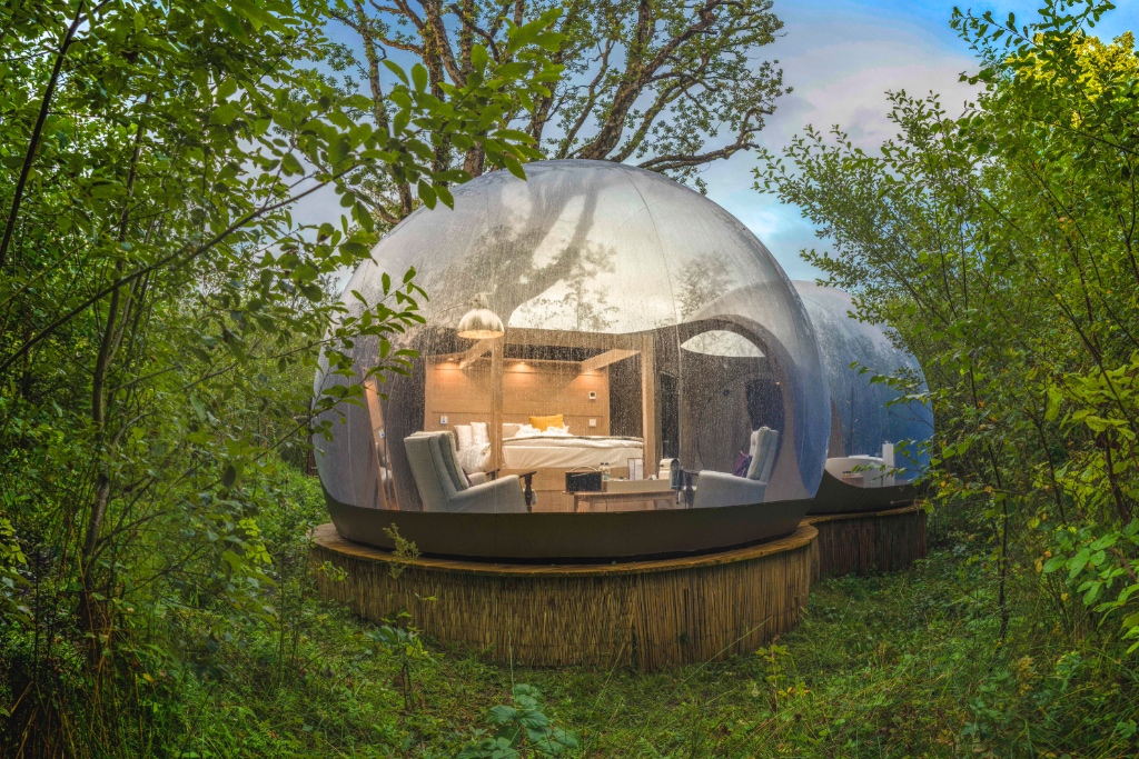 A transparent bubble dome with a modern interior nestled among dense trees.