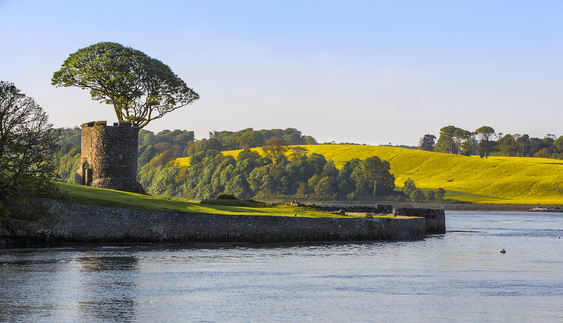 Stone tower and woodland overlooking tranquil waters and golden fields near Strangford in County Down.