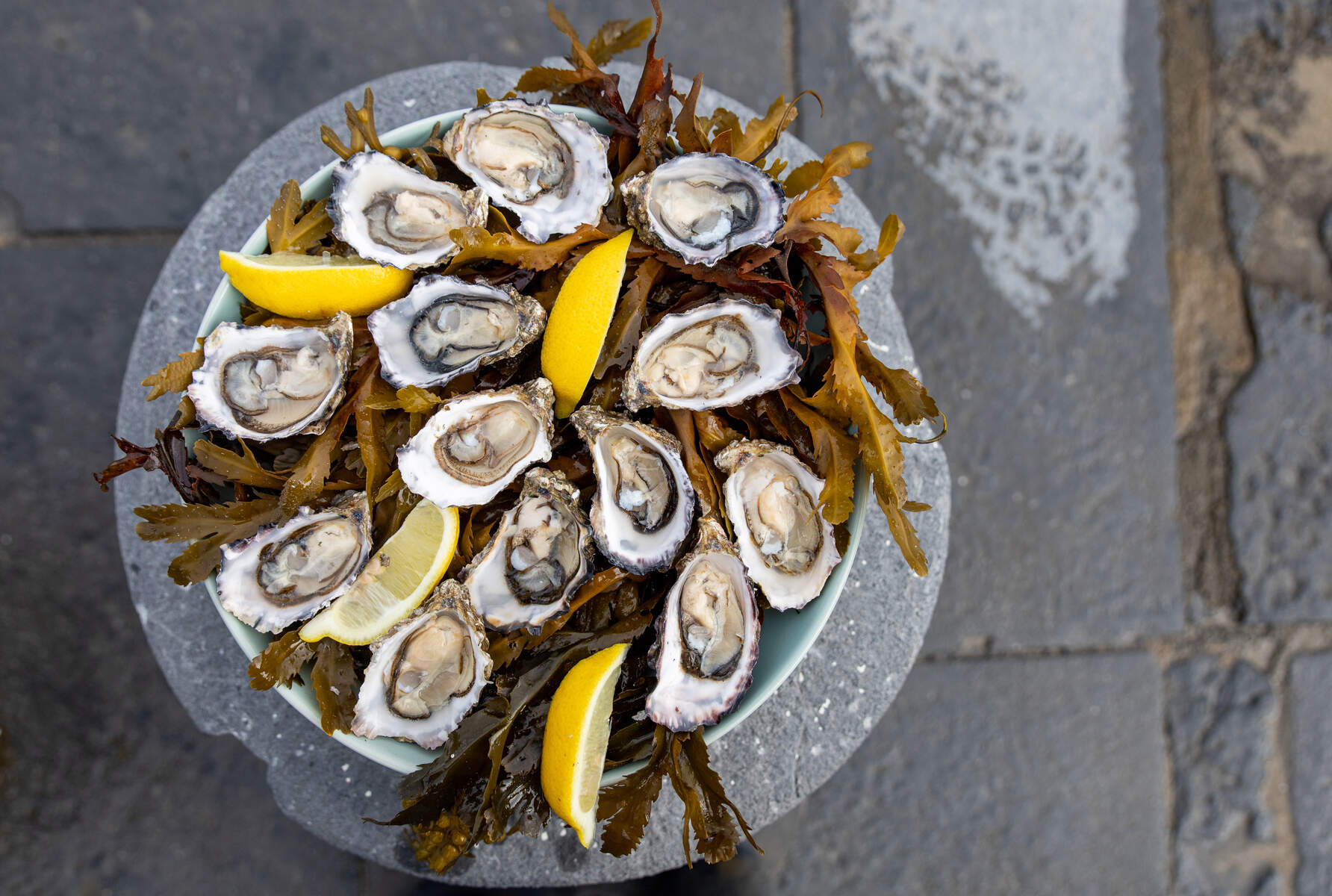 Plate of fresh oysters with lemon wedges and seaweed garnish served outdoors in County Clare.