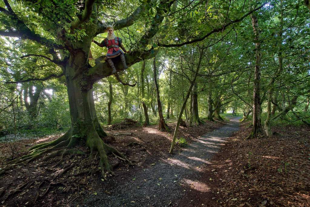 Fairy sculpture in tree along shaded woodland trail at Lullymore Heritage Park, County Kildare.