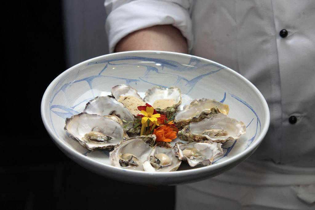 Oysters