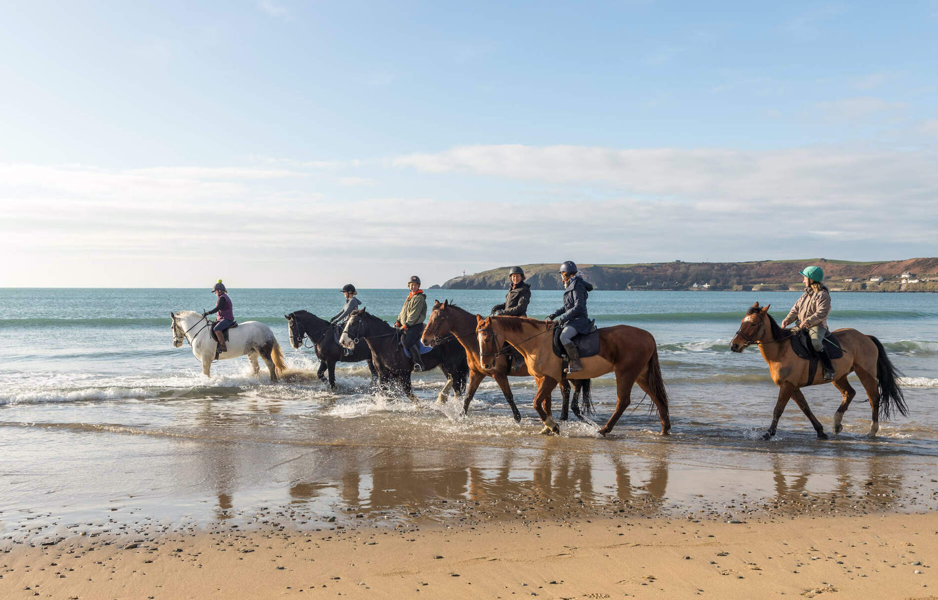 horses-red-strand-cork