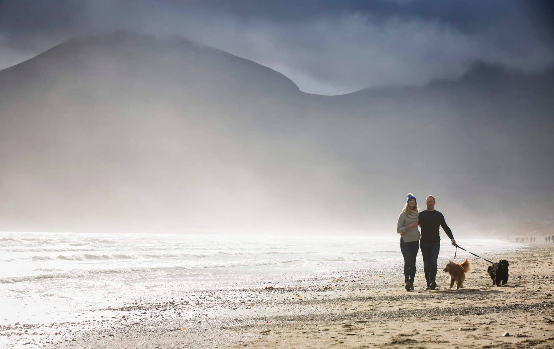 Couple walking dogs along misty Murlough Bay beach in County Down, with distant hills and soft morning light.