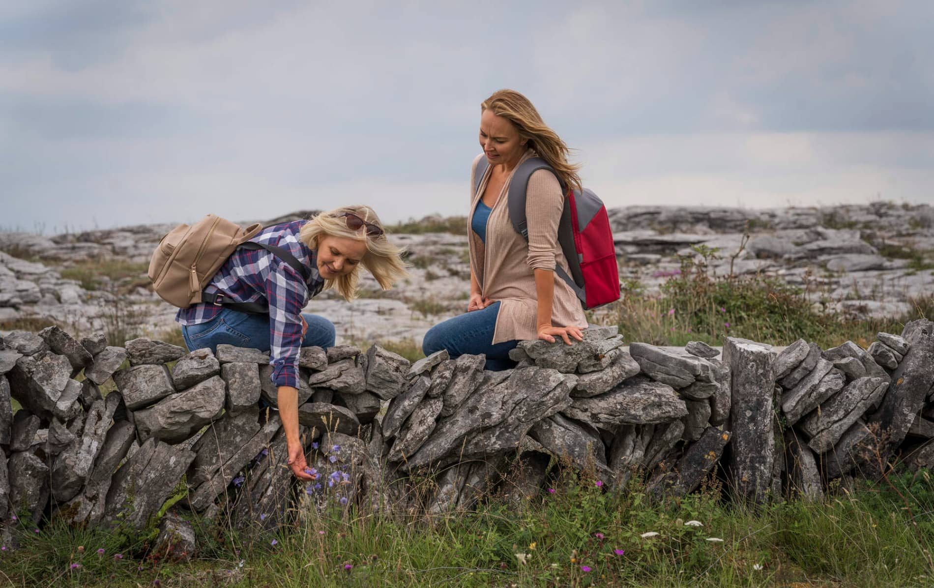 Two hikers crossing a stone wall in the rocky limestone landscape of the Burren, County Clare, pausing to look at wildflowers.