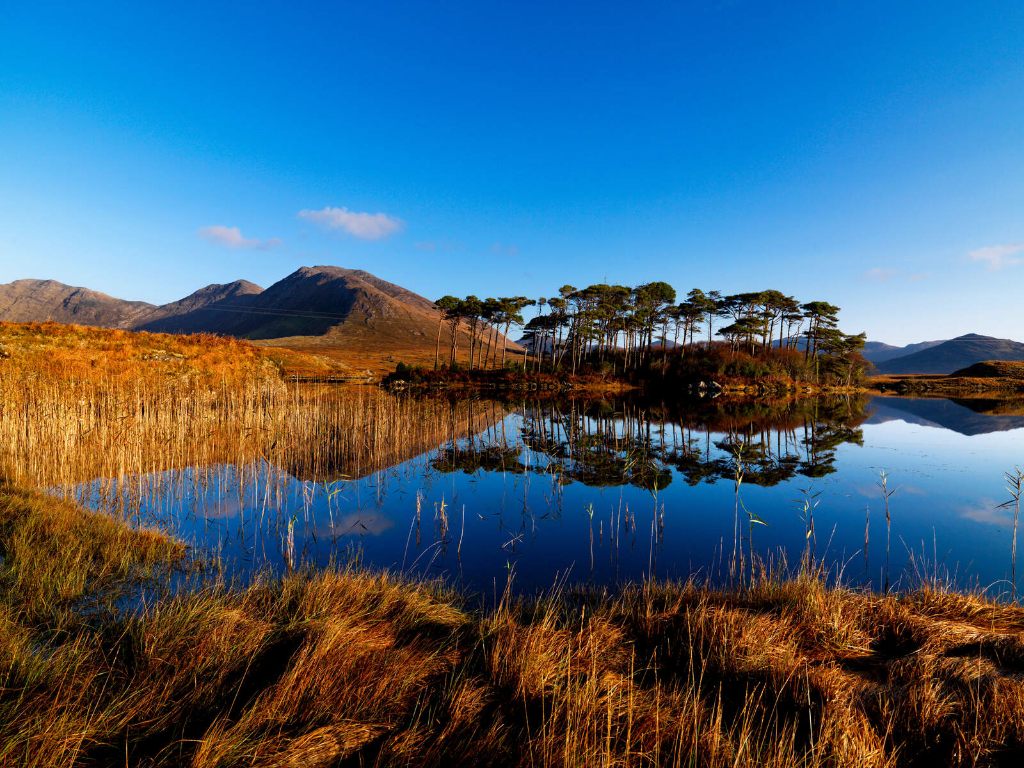 Still lake in Connemara reflecting mountains and a cluster of trees under a clear blue sky.