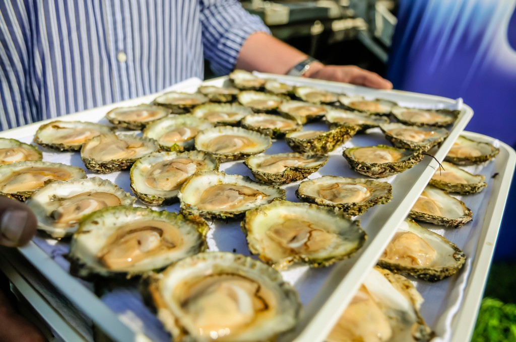 Tray of freshly shucked oysters at the Galway International Oyster Festival.