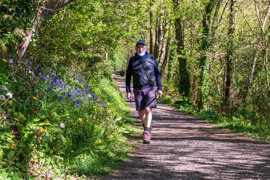 Mountsandel Wood, Derry~Londonderry